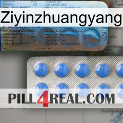 Ziyinzhuangyang 40